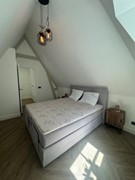 IMG_5603 Medium.jpeg